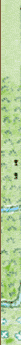 company of heros 2 bottleneck maps company of heros 2 bottleneck maps