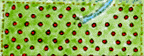 McElfresh Map Gallery